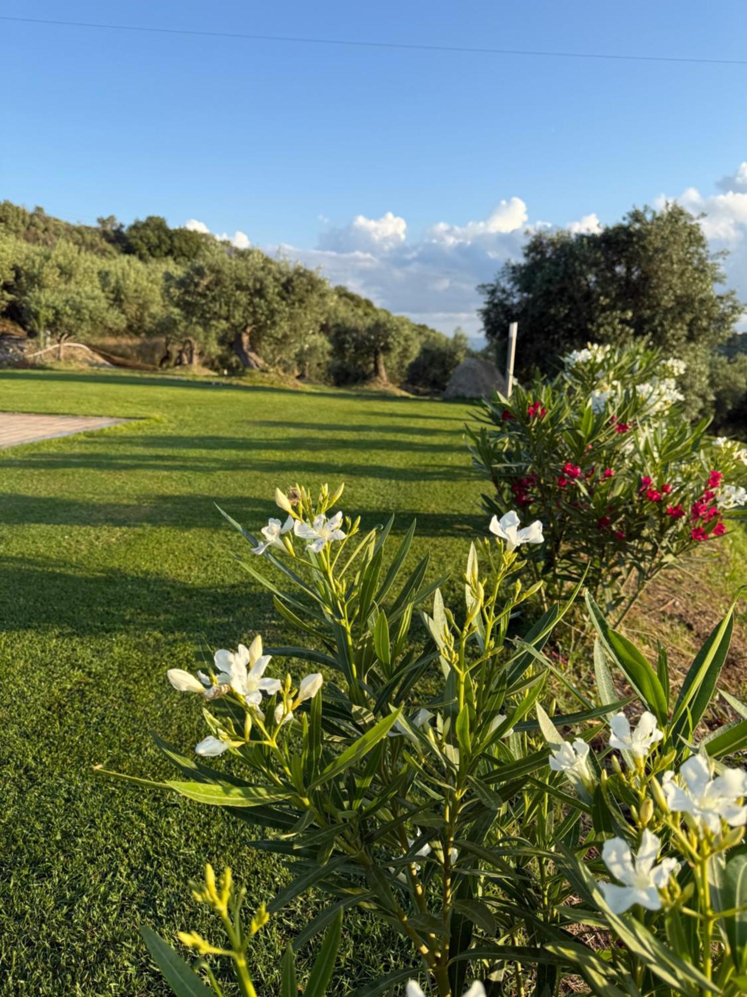 Agrolea Hotel Terme Vigliatore Exterior foto