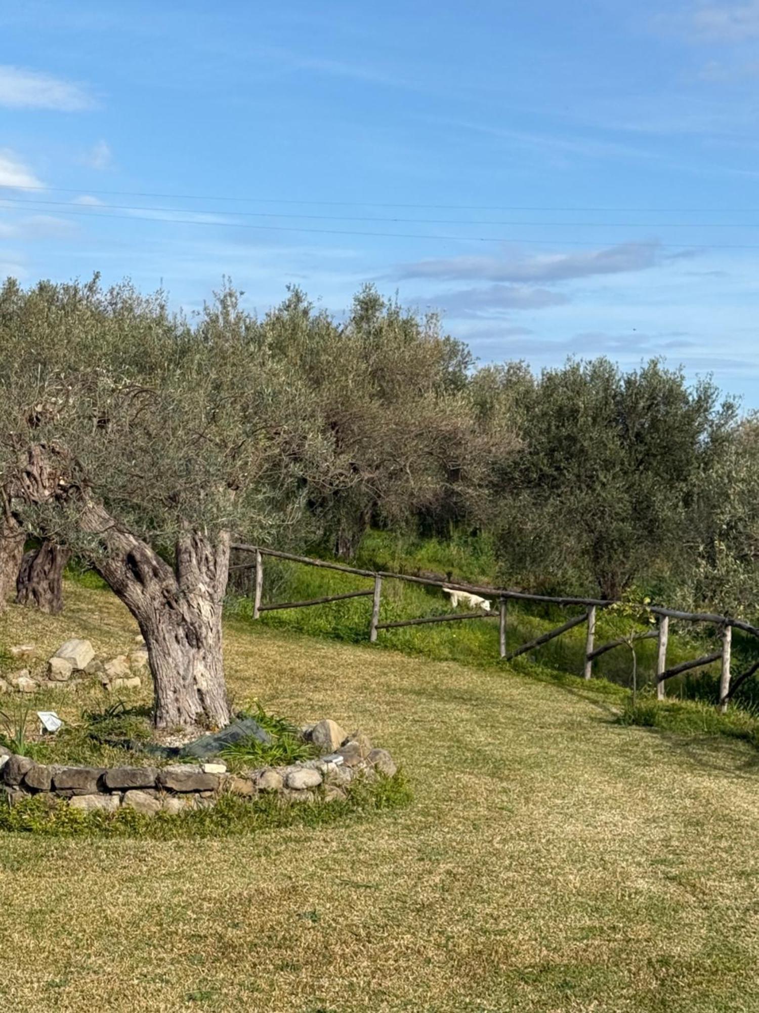 Agrolea Hotel Terme Vigliatore Exterior foto