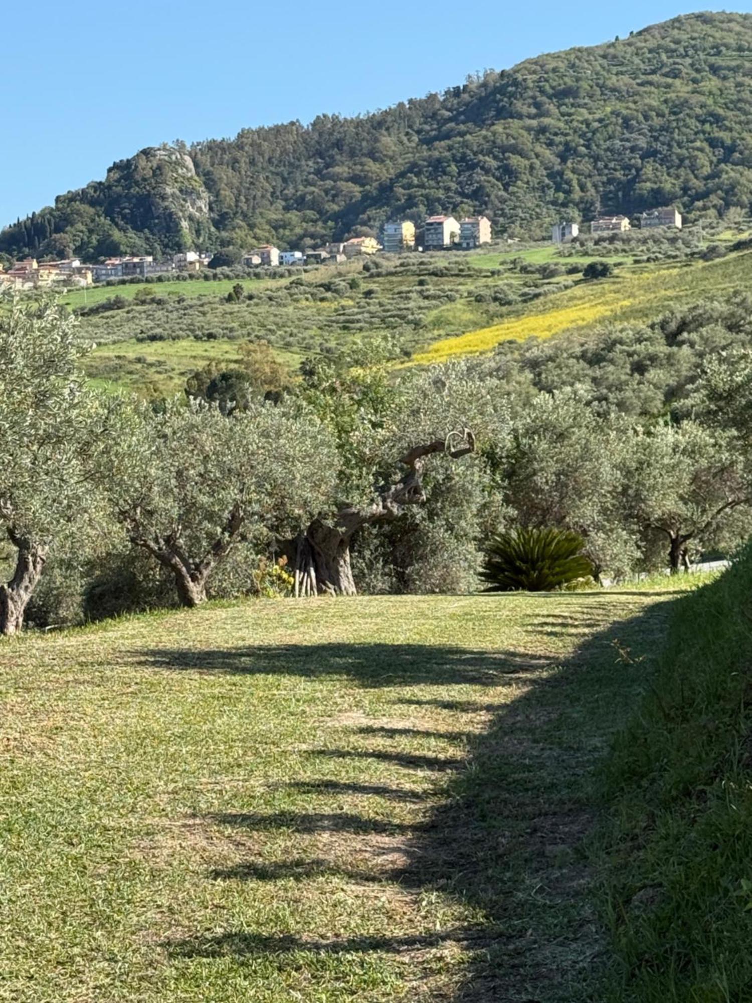 Agrolea Hotel Terme Vigliatore Exterior foto