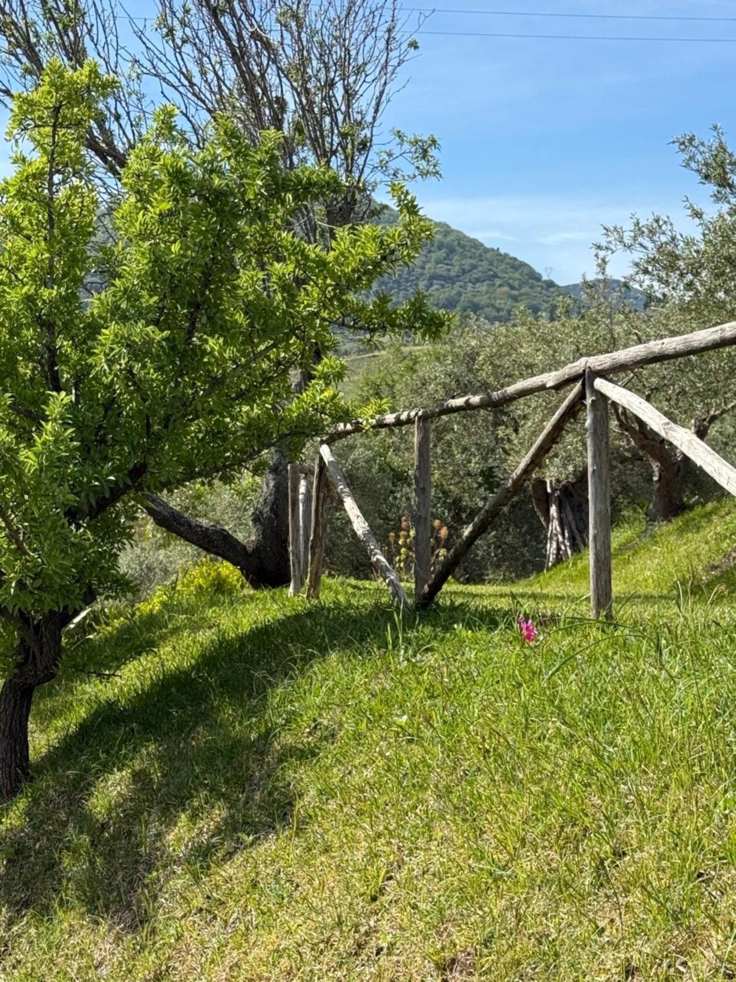 Agrolea Hotel Terme Vigliatore Exterior foto